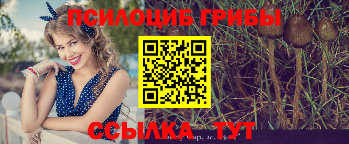 Галлюциногенные грибы Magic Shrooms Ачинск