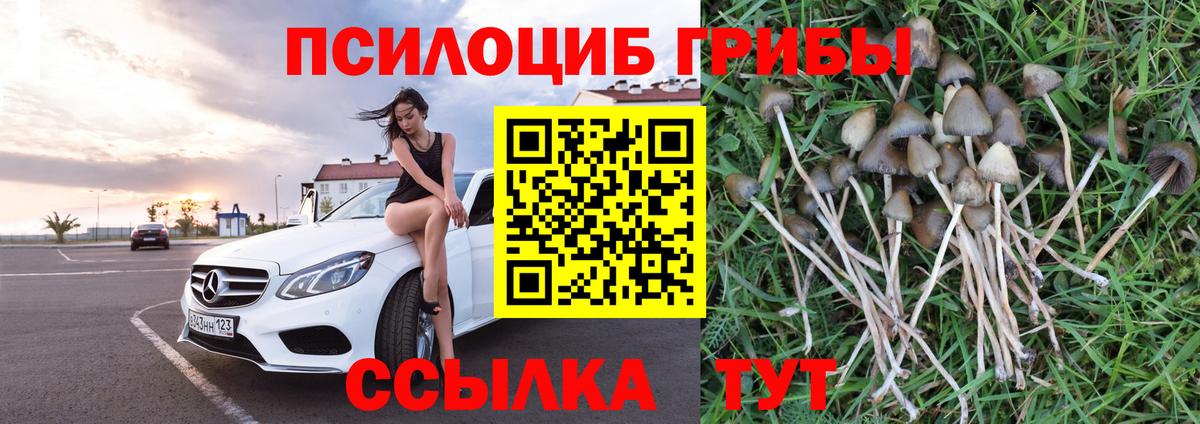 Ачинск  цена   Вход с VPN  Галлюциногенные грибы Psilocybine cubensis 